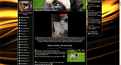 Desktop Screenshot of kimbesskennel.se